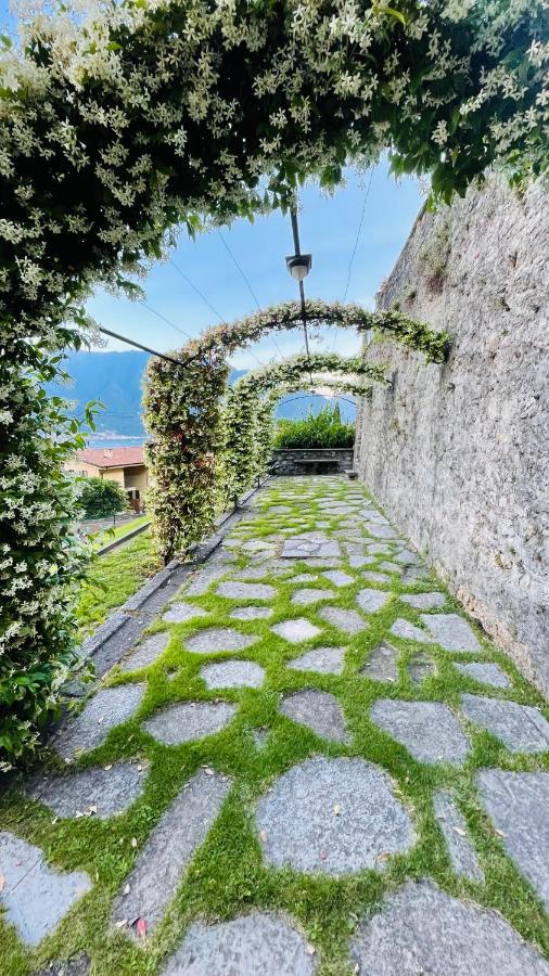 Lake View, Swimming Pool, Tennis Court And Private Parking Mezzegra Exterior foto