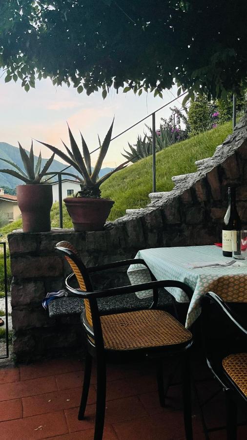 Lake View, Swimming Pool, Tennis Court And Private Parking Mezzegra Exterior foto